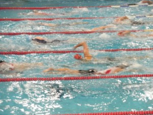 201601_zwemmen zwemloop Vlissingen
